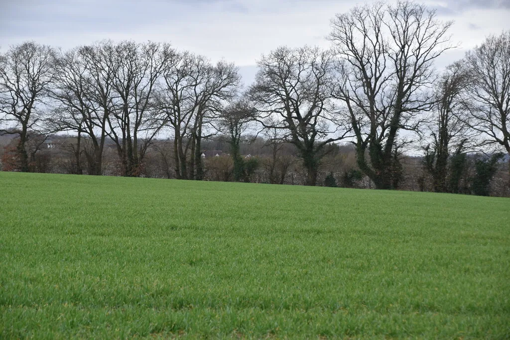 Low Weald farmland near Paddock Wood, in Tunbridge Wells borough. Land like this is what the call for sites is asking people to put forward